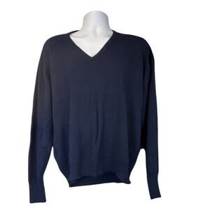 Thane Mens Blue XL V Neck 100% Cashmere Long Sleeves Sweater FLAWS Office Wear